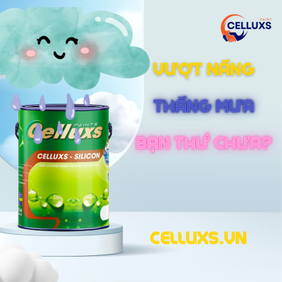 son chong tham celluxs