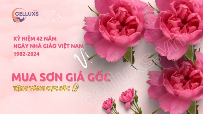 Tri ân ngày nhà giáo Việt Nam
