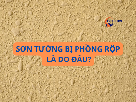 Sơn tường bị phồng rộp là do đâu