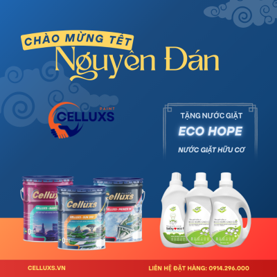 Chào mừng tết nguyên đán Ất Tỵ